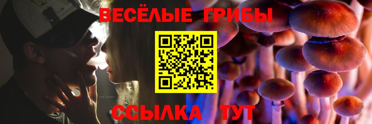 Галлюциногенные грибы прущие грибы  Вход с VPN  Краснознаменск  Галлюциногенные грибы ЛСД 